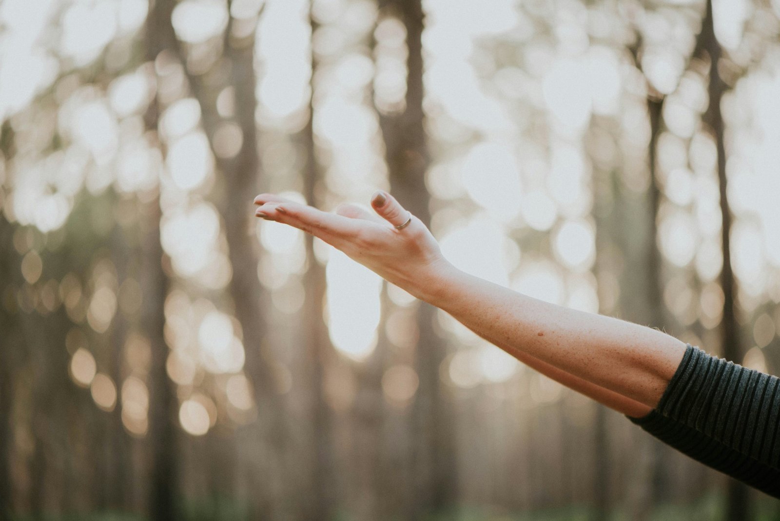 mental health + Conscious healing